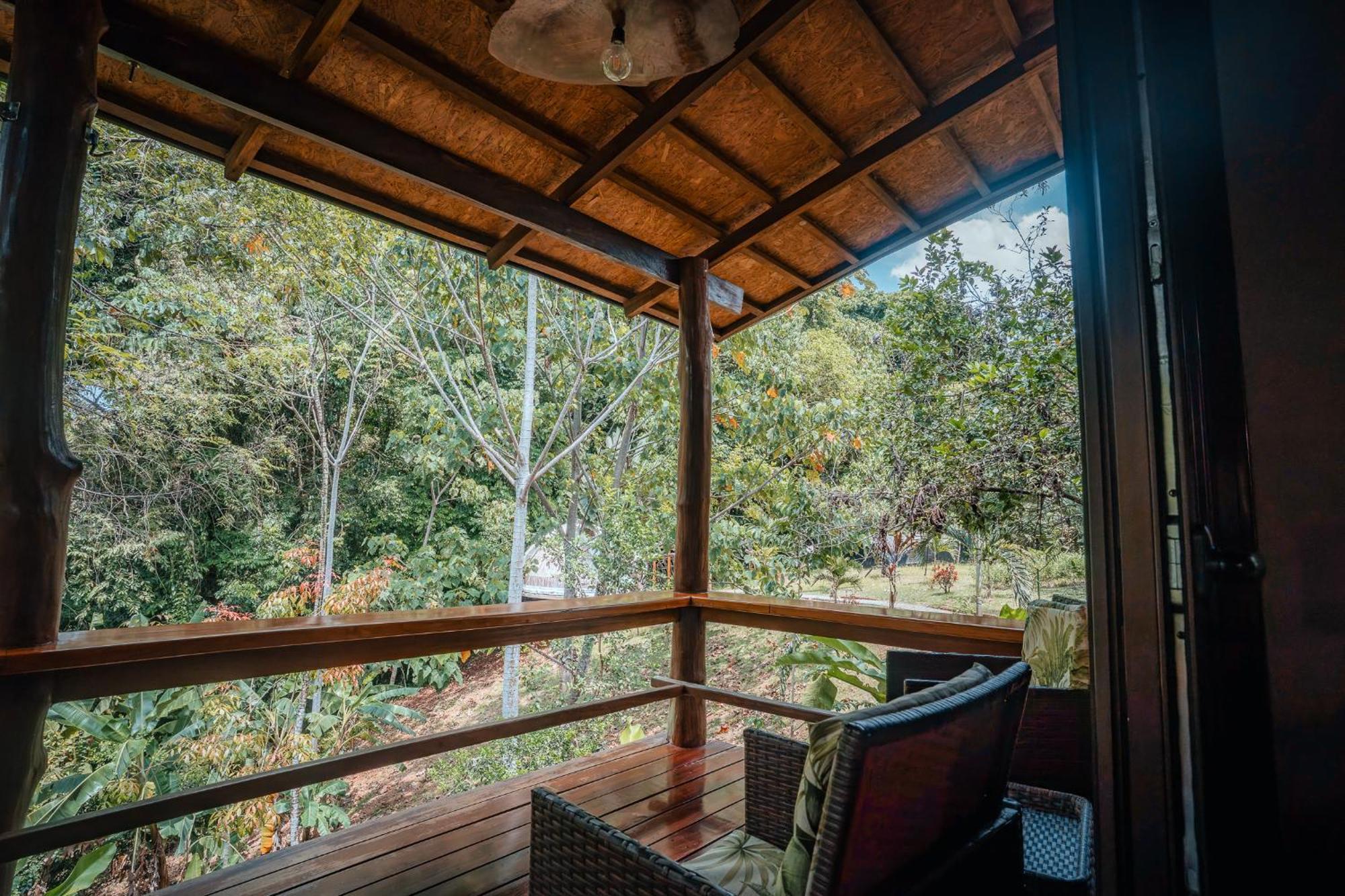 Natural Drake Bay Hotel Boutique Rom bilde